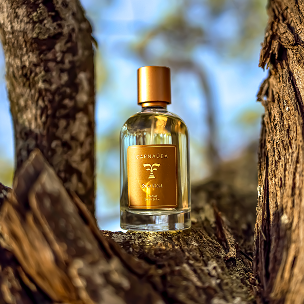 Carnaúba