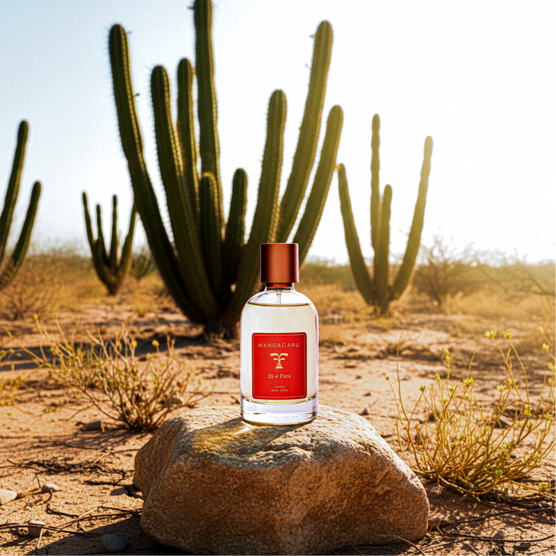 Mandacaru