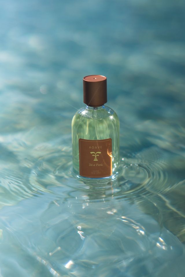 Agave